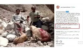 خدمت به محیط زیست، جریمه شکارکش میناب