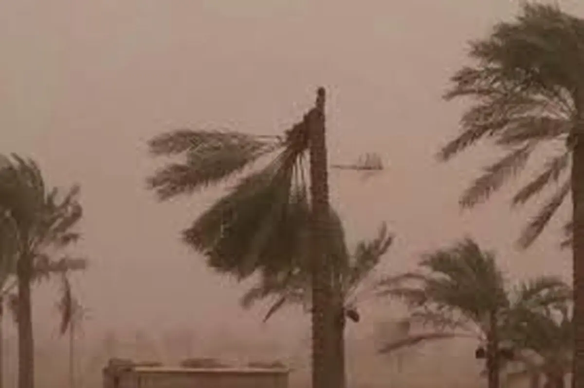 آسیب دیدگان طوفان بوشهر وام ۲۰ میلیونی می گیرند