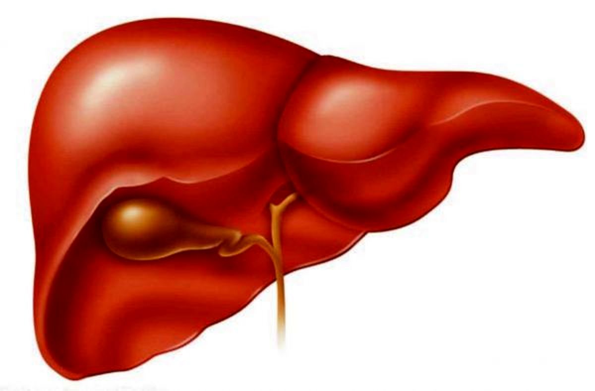 پیشگیری از بیماری کبد با بهبود رژیم غذایی