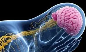 کدام افراد به صرع مبتلا می‌شوند