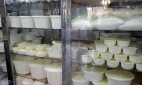 مخالف مصرف لبنیات سنتی هستیم