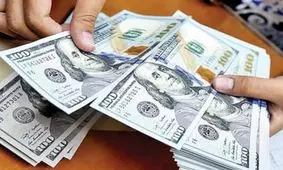 کمبود دلار ۴۲۰۰ تومانی و بازار سردرگم/ سازمان حمایت صدای رئیس اتاق اصناف را درآورد