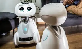 ربات هوشمندی که همدم خانگی شما می شود