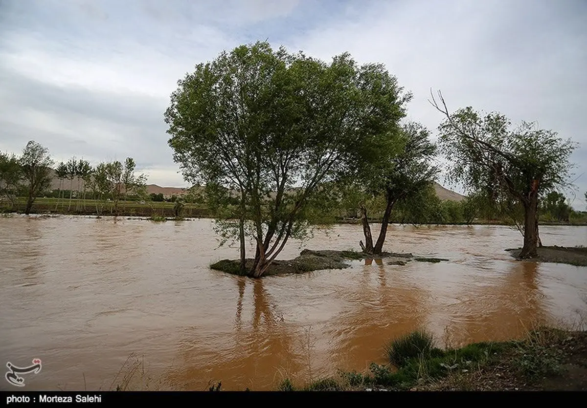 کارگروه تخصصی سیل و طغیان رودخانه‌ها در شهرستان سربیشه برگزار شد