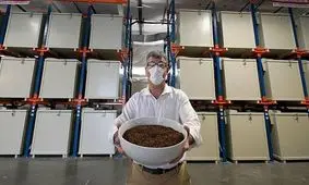 تبدیل جسد انسان به کود به جای خاکسپاری؛ کمپوست انسانی در نیویورک قانونی شد