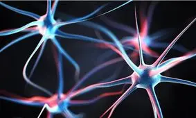 افراد خلاق ۹۰ درصد بیشتر احتمال ابتلا به اسکیزوفرنی را دارند