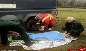 بلایی که اسب خشمگین بر سر دختر نوجوان آورد + تصاویر