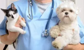 مقابله با بیماری های بین انسان و دام