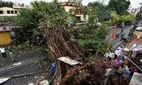 41 کشته به دنبال طوفان شن و وزش باد در هند