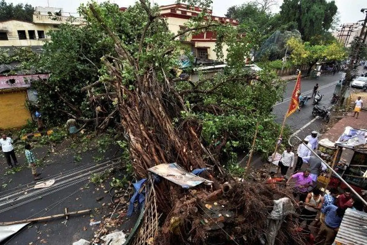 41 کشته به دنبال طوفان شن و وزش باد در هند