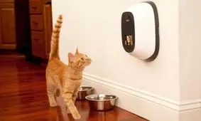 ۱۰ گجت کاربردی برای حیوانات خانگی