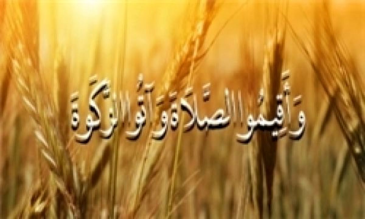 راهی برای تقویت ارتباط با خالق/ یاد خدا همراه با توجّه به خلق خدا