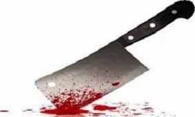 جزئیات جدید از پرونده مادرشوهر ساطور به دست/ تفهیم اتهام جدید به متهم