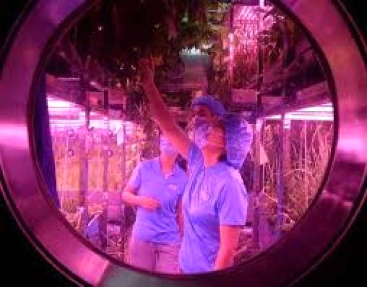 دانشجویان چینی رکورددار اقامت در مرکز فضایی