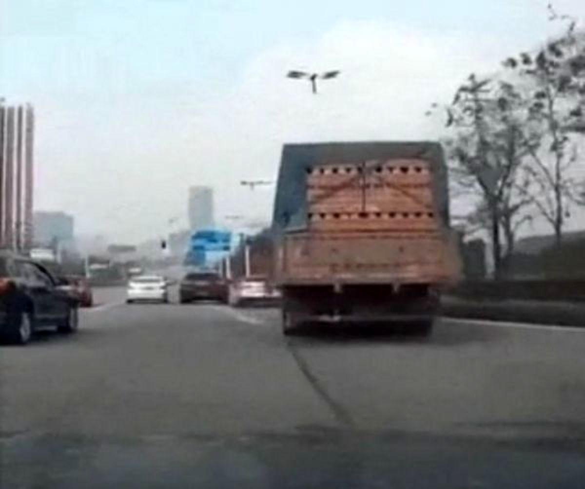 بی احتیاطی مرگبار راننده کامیون