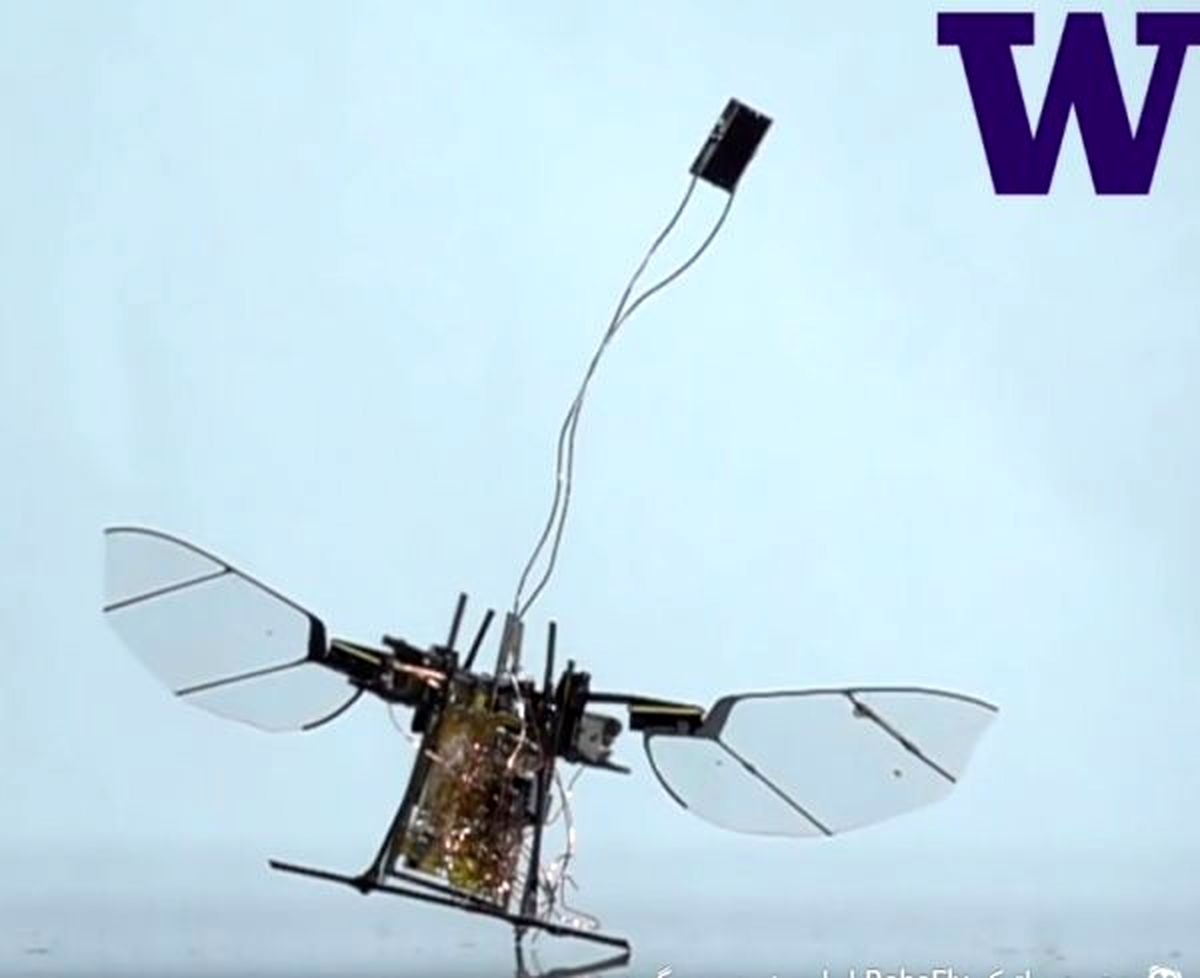 حشره رباتیکی که با پرتوهای لیزر پرواز می کند