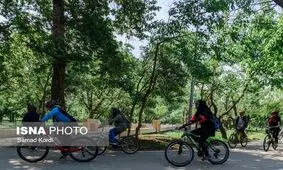 جای خالی زنان در سه‌شنبه‌های بدون خودرو