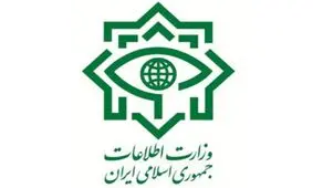وجود ۲۱۰ مدیر دو تابعیتی صحت ندارد /کسانی که شائبه برخورداری تابعیت مضاعف داشتند با انتصاب آنها مخالفت شده است