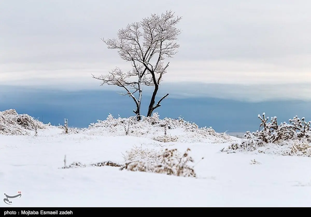۸ استان کشور سفیدپوش می‌شود