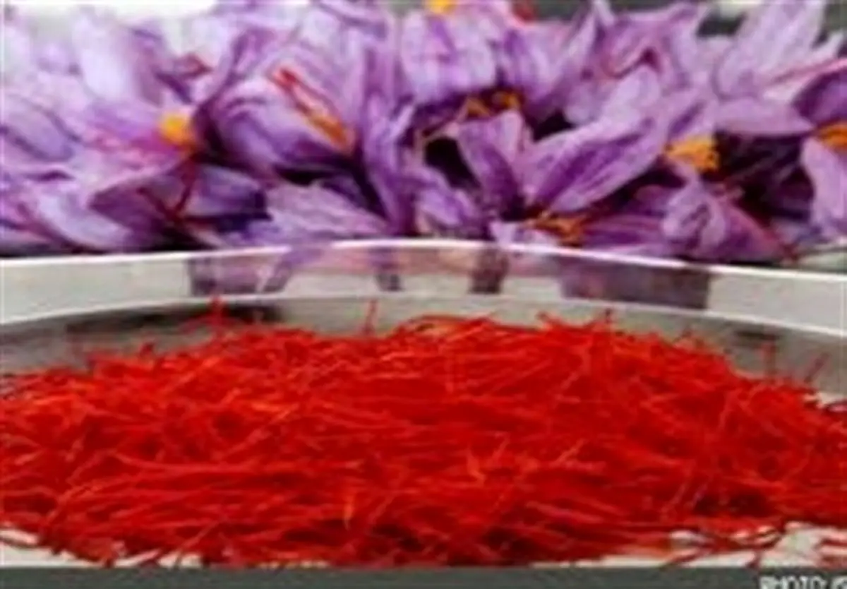 ایران مرجع جهانی تجارت زعفران می‌شود