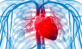 سلامت قلب در دوره سالمندی از ضعف و سستی پیشگیری می کند