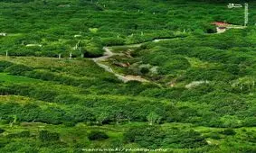 عکس/ باور کنید اینجا شمال نیست!