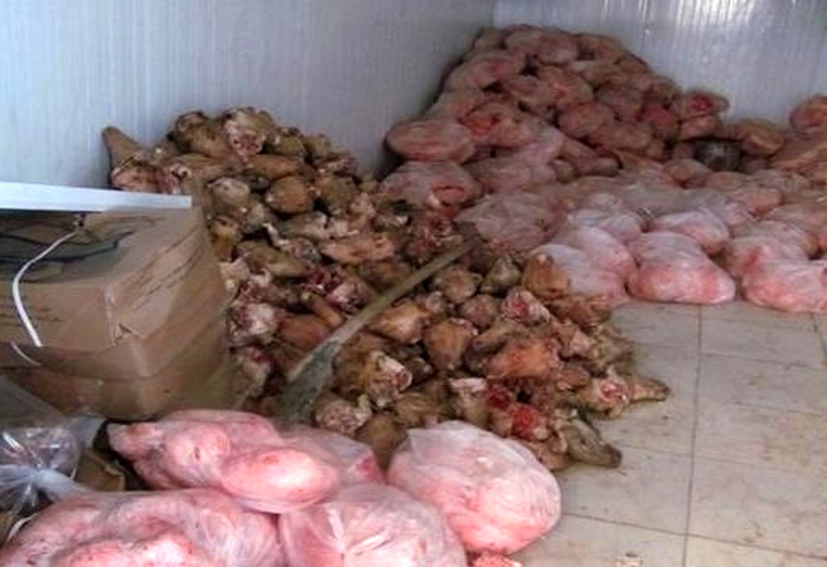 کشف 300 کیلو گوشت فاسد در «تالش»