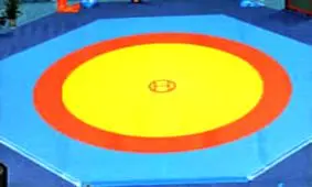 درگذشت کشتی‌گیری که در یک‌ هفته ۲ نقره المپیک‌ گرفت!