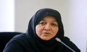 عملکرد دولت روحانی به اصلاح‌طلبان آسیب نزده است/ زنان و جریان اصلاحات به هم مدیون هستند