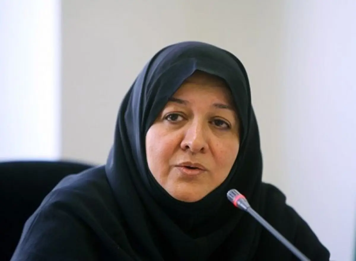عملکرد دولت روحانی به اصلاح‌طلبان آسیب نزده است/ زنان و جریان اصلاحات به هم مدیون هستند