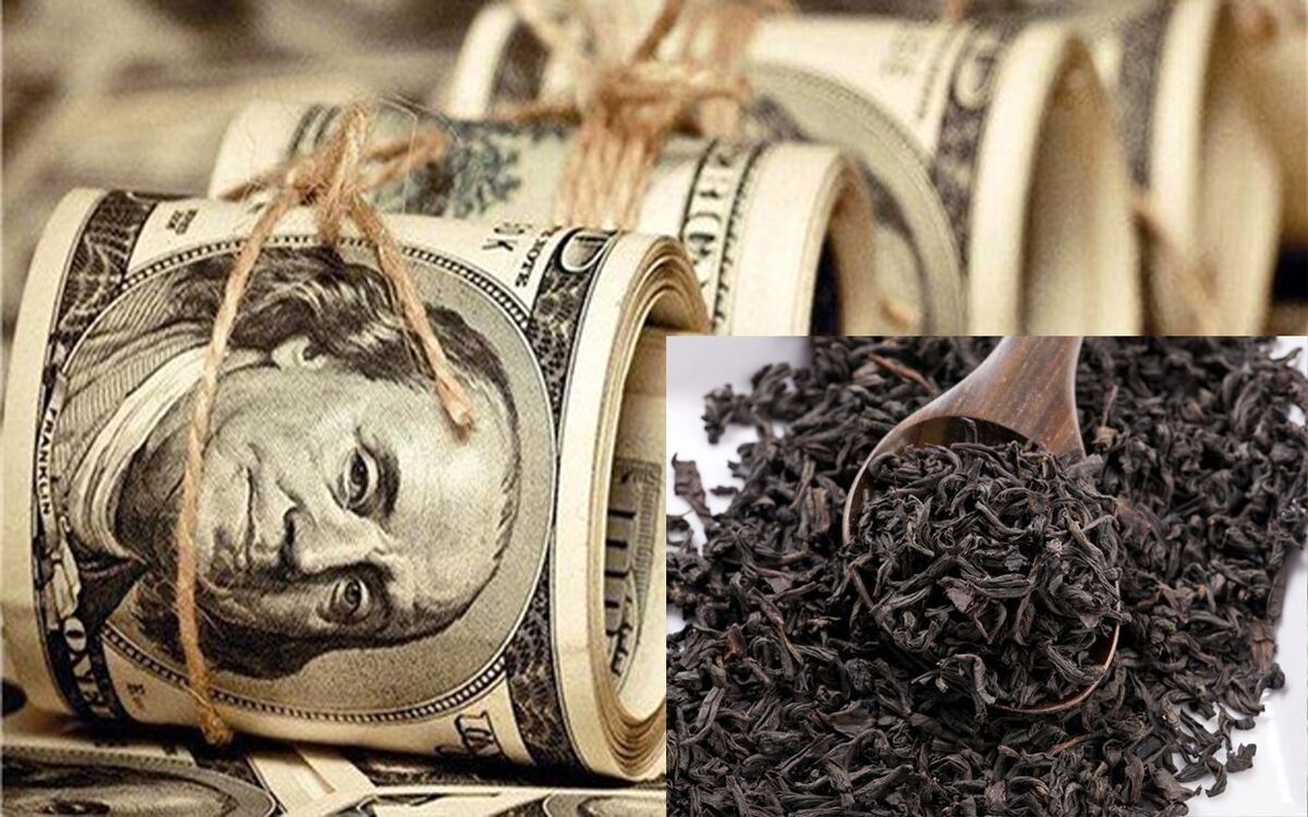 مزایده ۸۴ میلیارد تومانی چای دبش با دستور قضایی در بندرعباس برگزار میشود