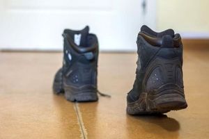 ۵ راه ساده برای رفع صدای جیر جیر کف کفش