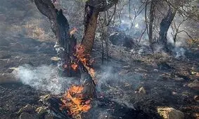 آتش سوزی در پارک ملی گلستان