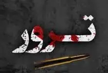 انتشار لیست جدید ترور آمریکا و اسرائیل/ عکس