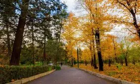 افزایش ۶۰۰ هکتاری فضای سبز پایتخت