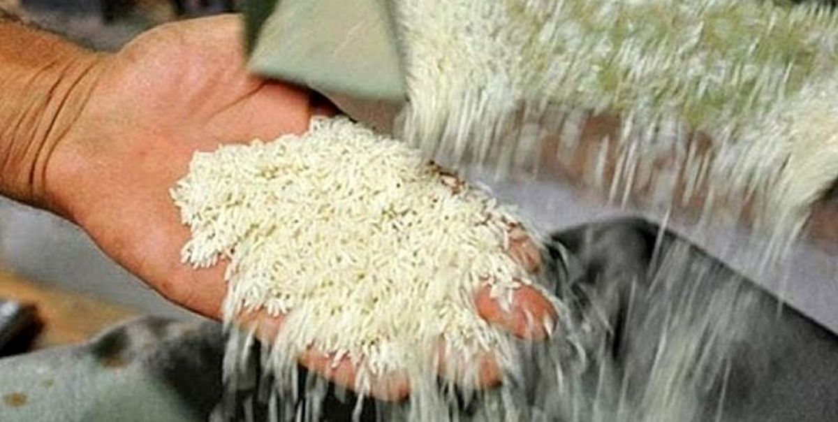برنج تولیدی مازندران در سبد غذایی روس ها