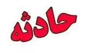 قتل عاطفه 9 ساله برای دزدیدن کلیه هایش ! / قاتل جسد را آتش زد