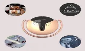 ساخت اولین گوشی هوشمند برای سگ های خانگی