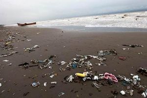 دفع زباله‌ها و ریختن شیرابه‌ها به مناطق ساحلی در تالش