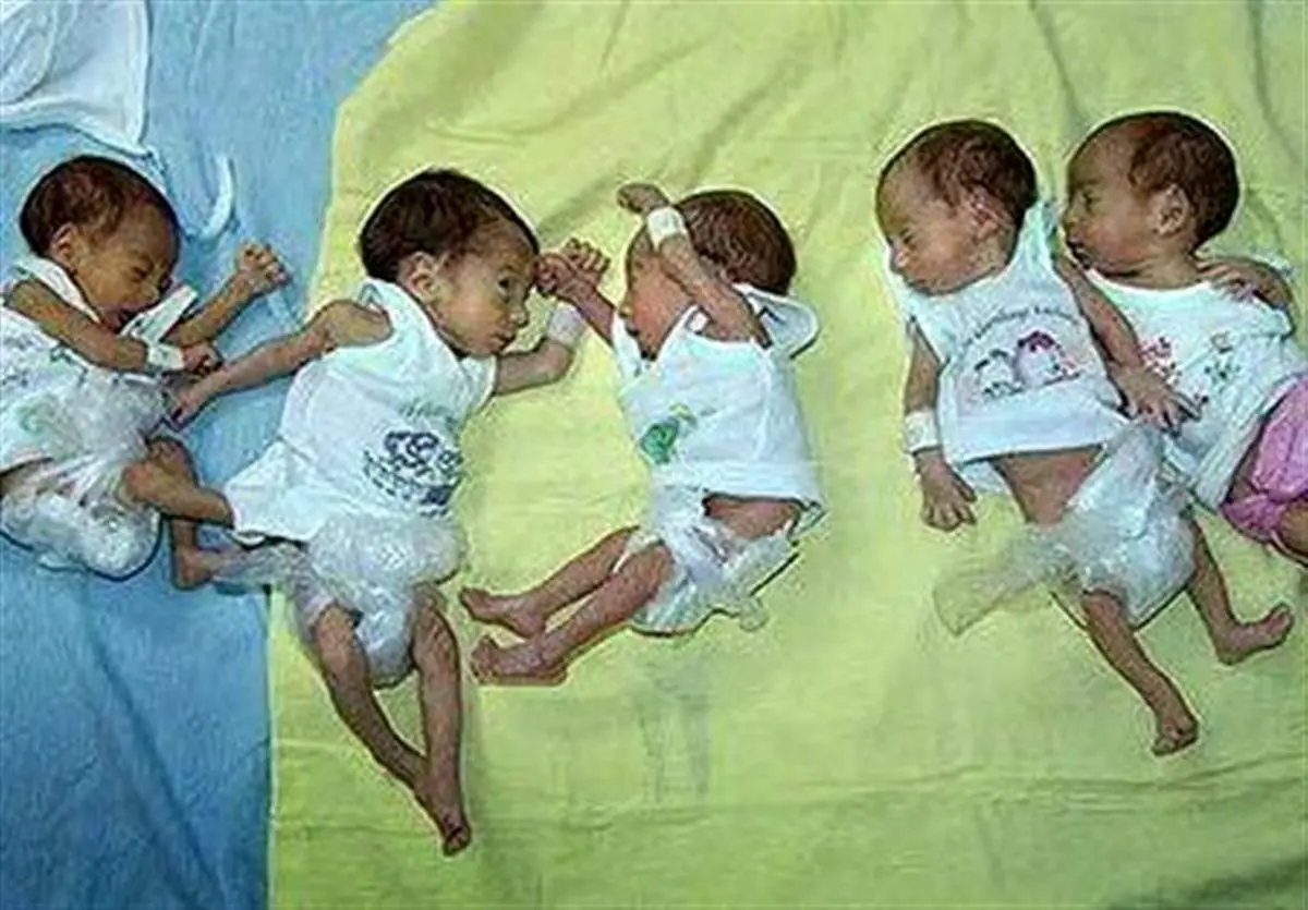 تولد پنج قلوهای خرامه‎ای در شیراز/ مادر ۵ قلوها: خوشحالم که خدا فرزندان سالمی به من عطا کرده است