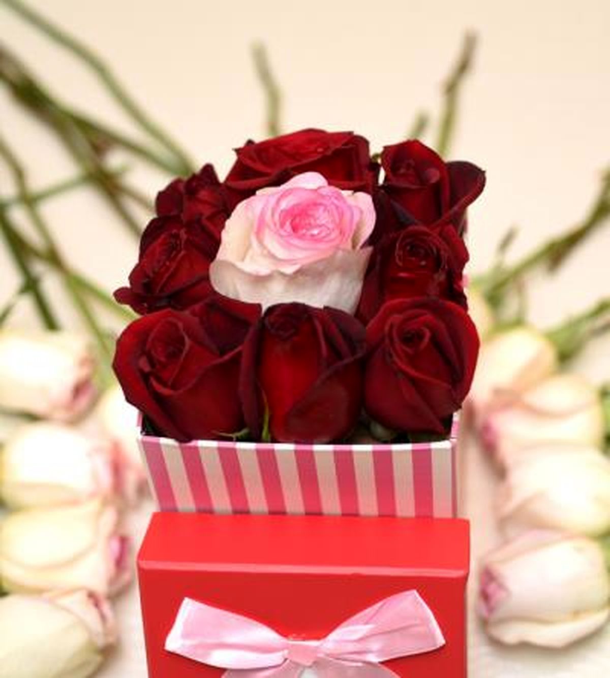 هفت گل رمانتیک که هر کدام حاوی پیغام خاصی هستند