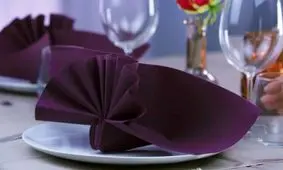 آموزش تزئین دستمال سفره