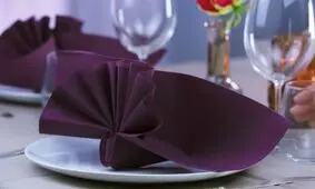 آموزش تزئین دستمال سفره