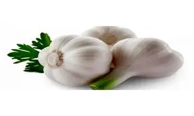 با این روش به راحتی بوی سیر را از بین ببرید