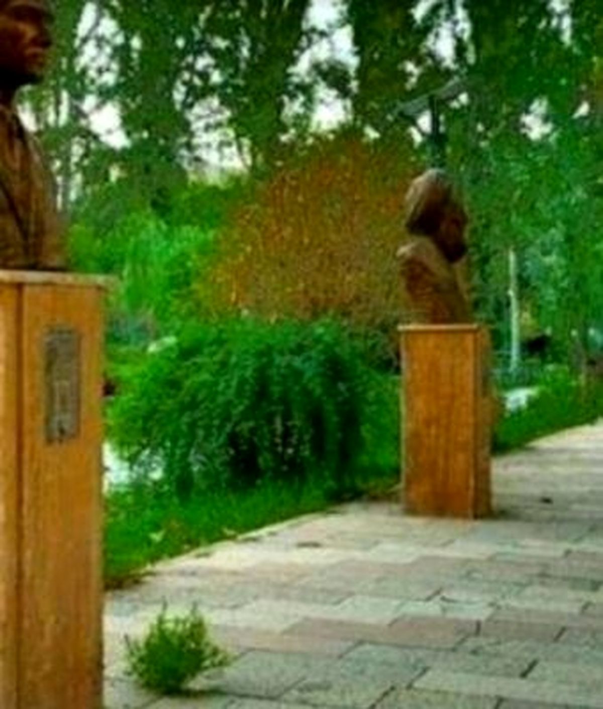 سرقت سردیسهای 3 میلیارد ریالی مشاهیر در پارک تنیس کرج