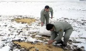 منطقه حفاظت شده درمیان در روز برفی دانه‌پاشی شد