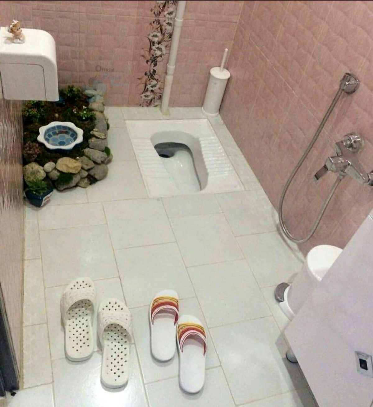 پیک نیک در سرویس بهداشتی