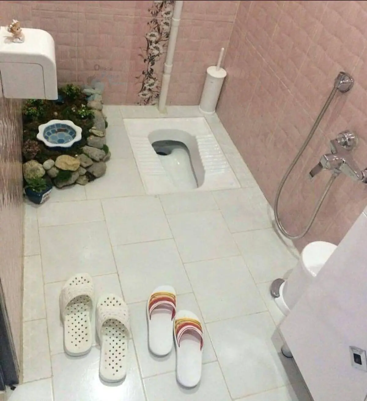 پیک نیک در سرویس بهداشتی