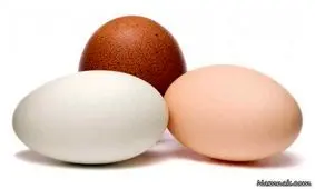 چند ایده و ترفند تخم مرغی