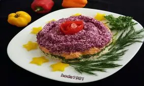 آلبوم/کالکشن دیزاین بشقاب غذا